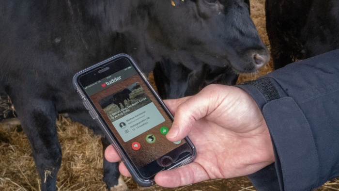 Tudder, which helps farmers match up potential partners
