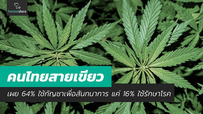 คนไทยสายเขียว 64% ใช้กัญชาเพื่อสันทนาการ มีเพียง 16% ใช้รักษาโรคคนไทยสายเขียว 64% ใช้กัญชาเพื่อสันทนาการ มีเพียง 16% ใช้รักษาโรค