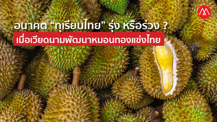 Durian