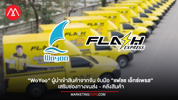 woyoo-flash