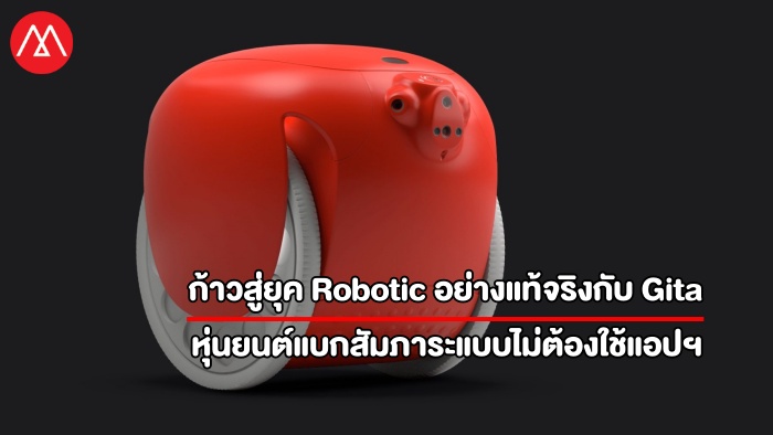 Gita-Cargo-Robot