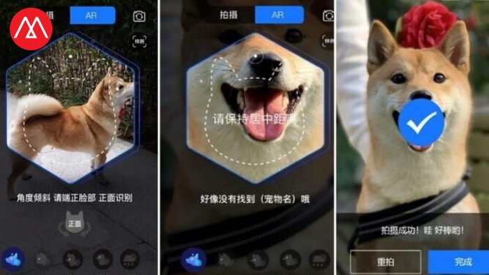 Alipay pet Insurance