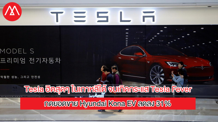 S Korea Tesla
