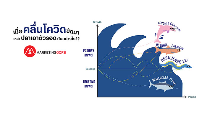 ว่ายฝ่าวิกฤติธุรกิจ: เมื่อคลื่นยักษ์ถาโถม เราจะเอาตัวรอดแบบปลาชนิดไหน?